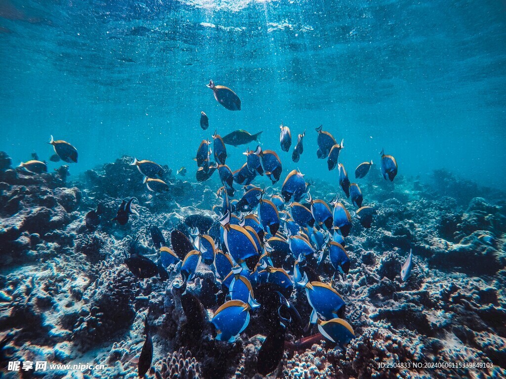 海底世界