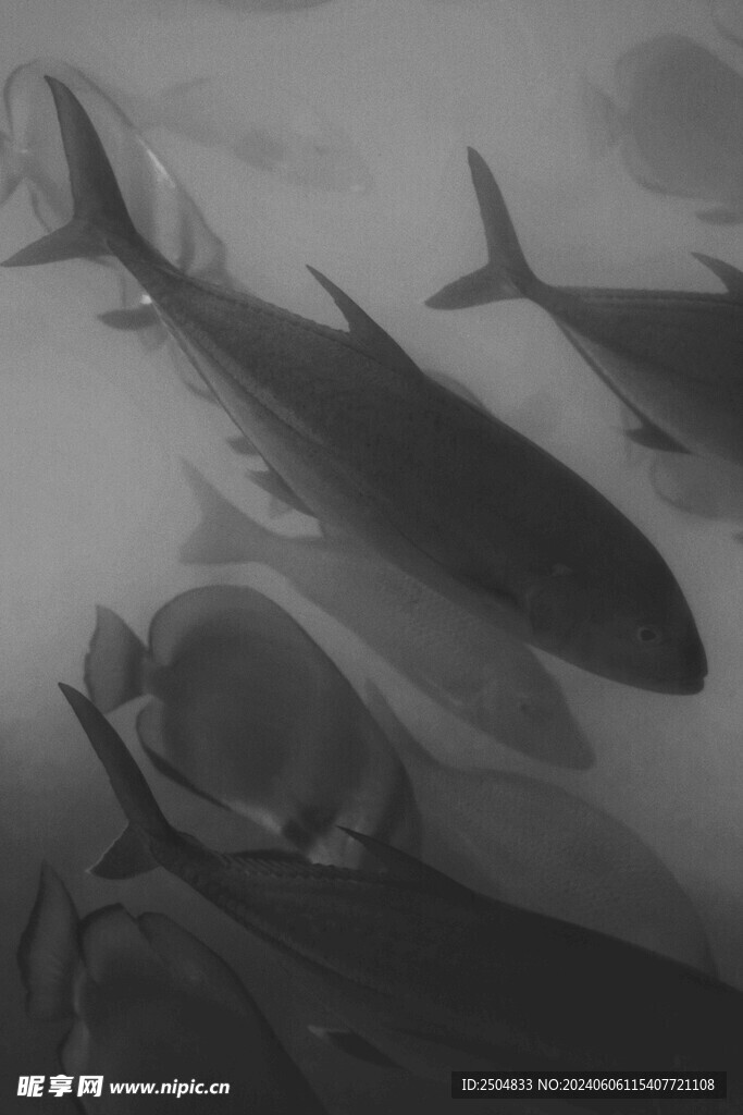 海底世界