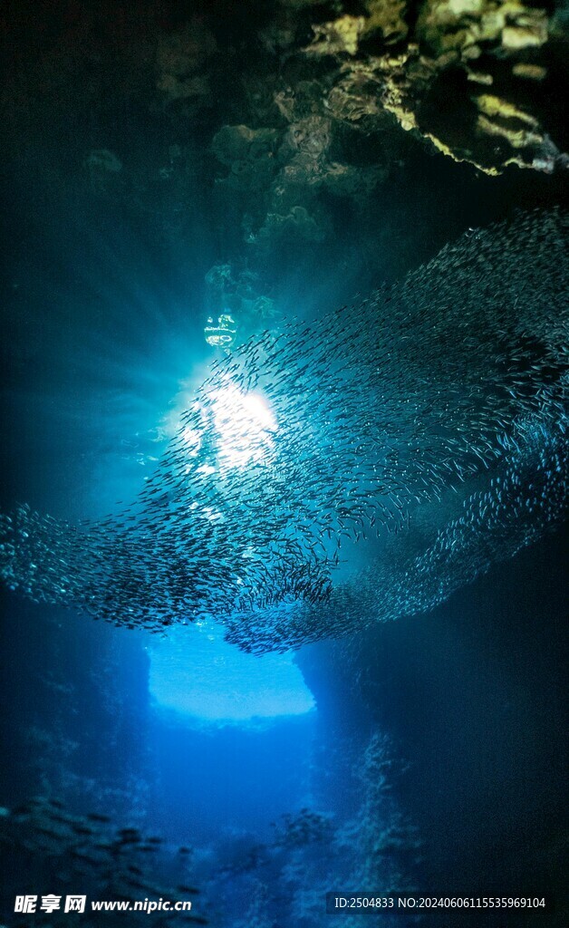 海底世界