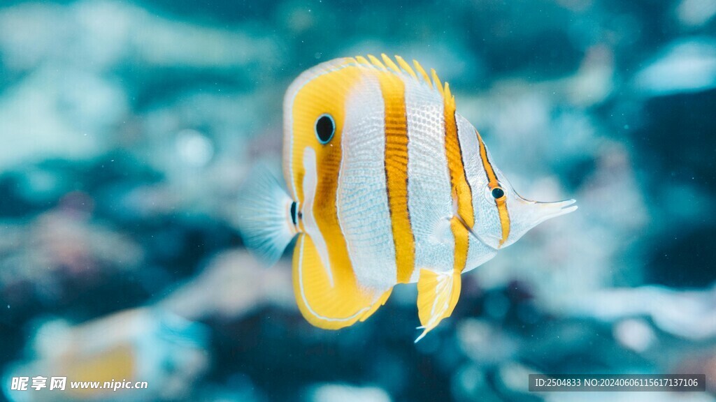 海底世界