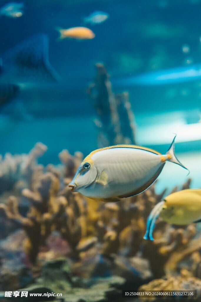 海底世界