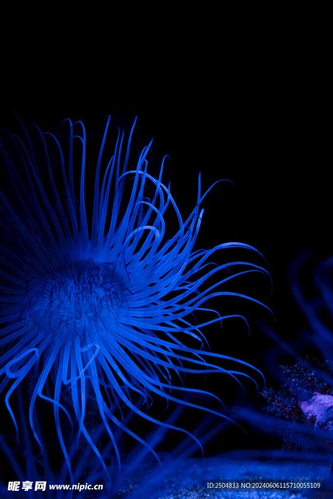 海底世界
