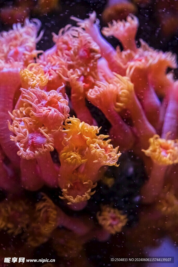 海底世界
