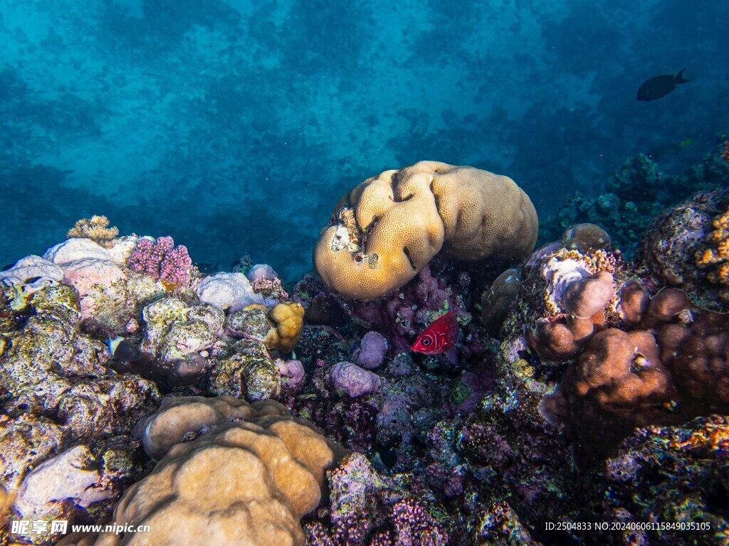 海底世界
