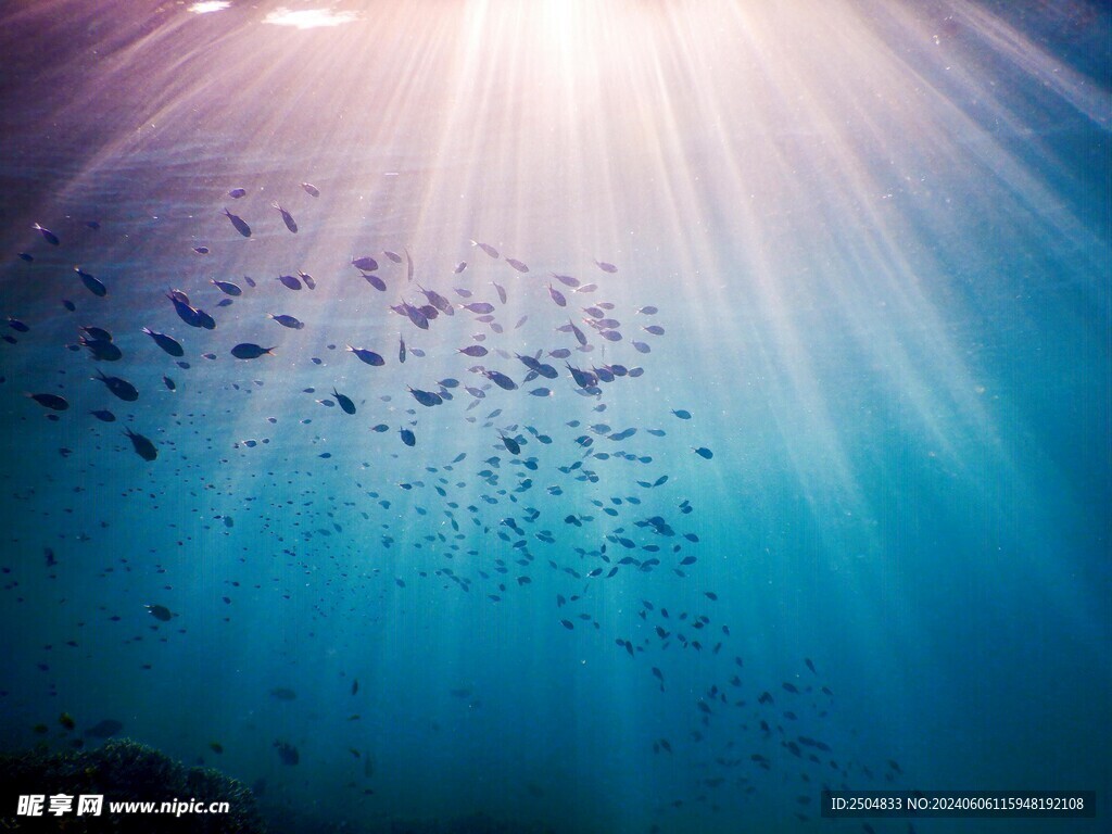 海底世界