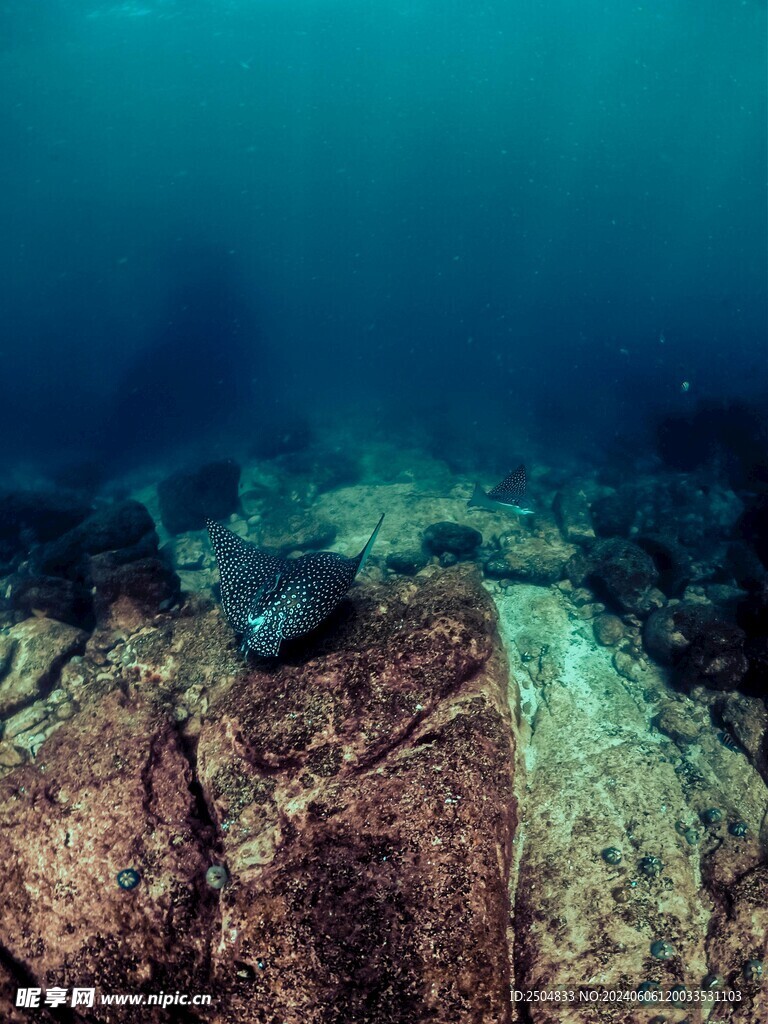 海底世界