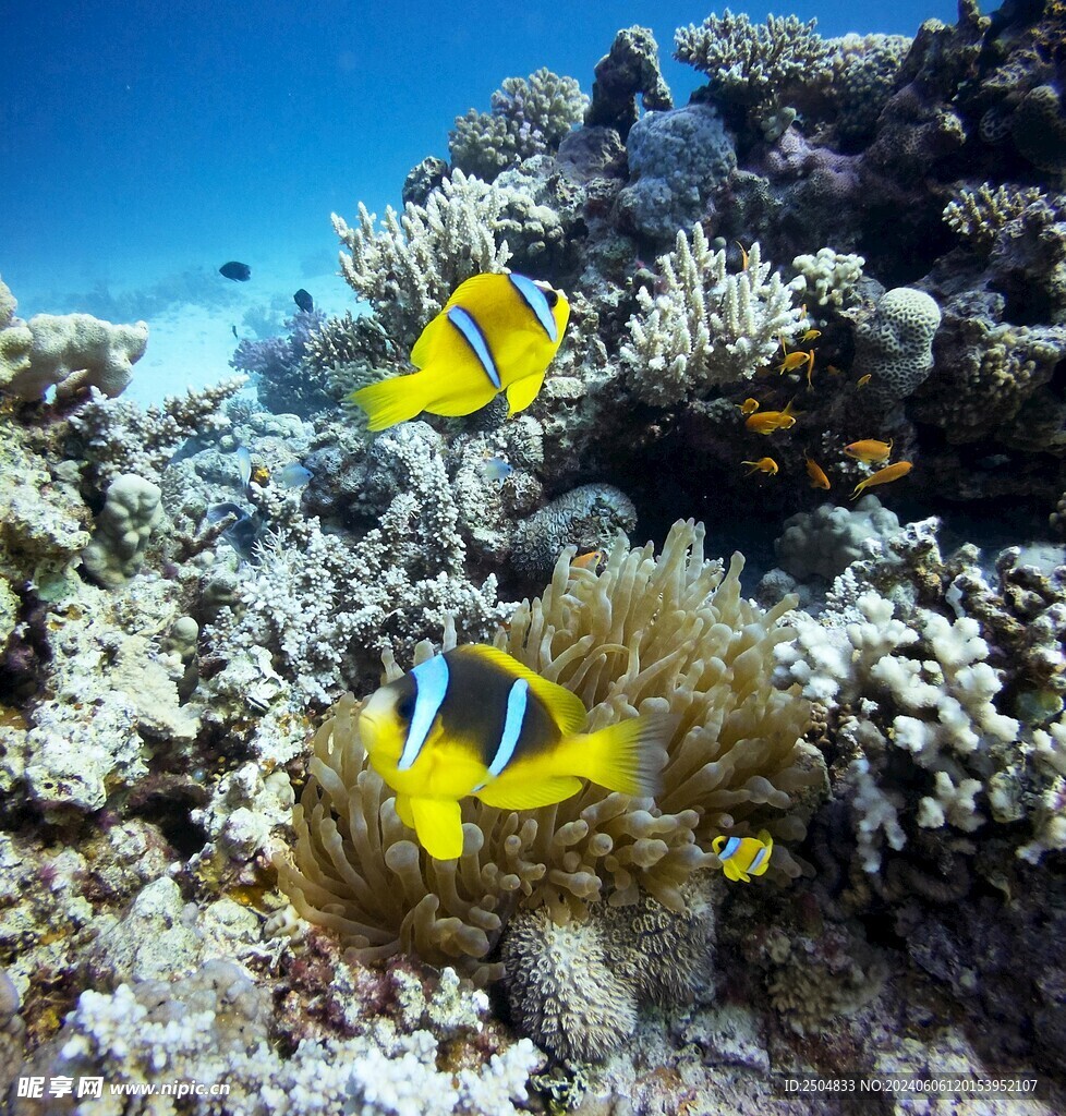 海底世界