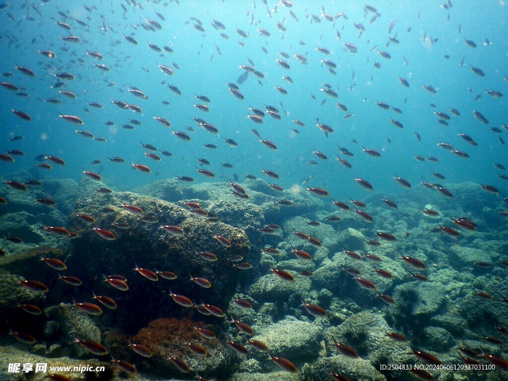 海底世界