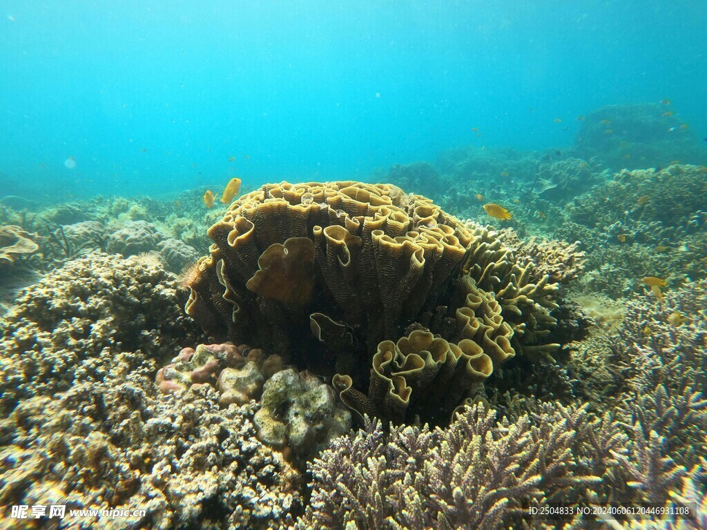 海底世界