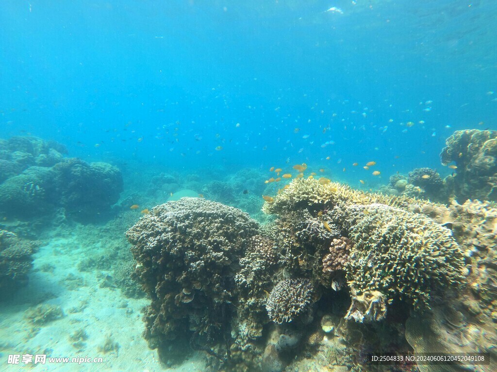 海底世界