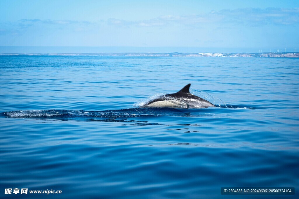 海底世界