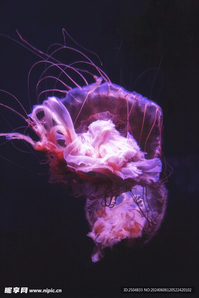 海底世界