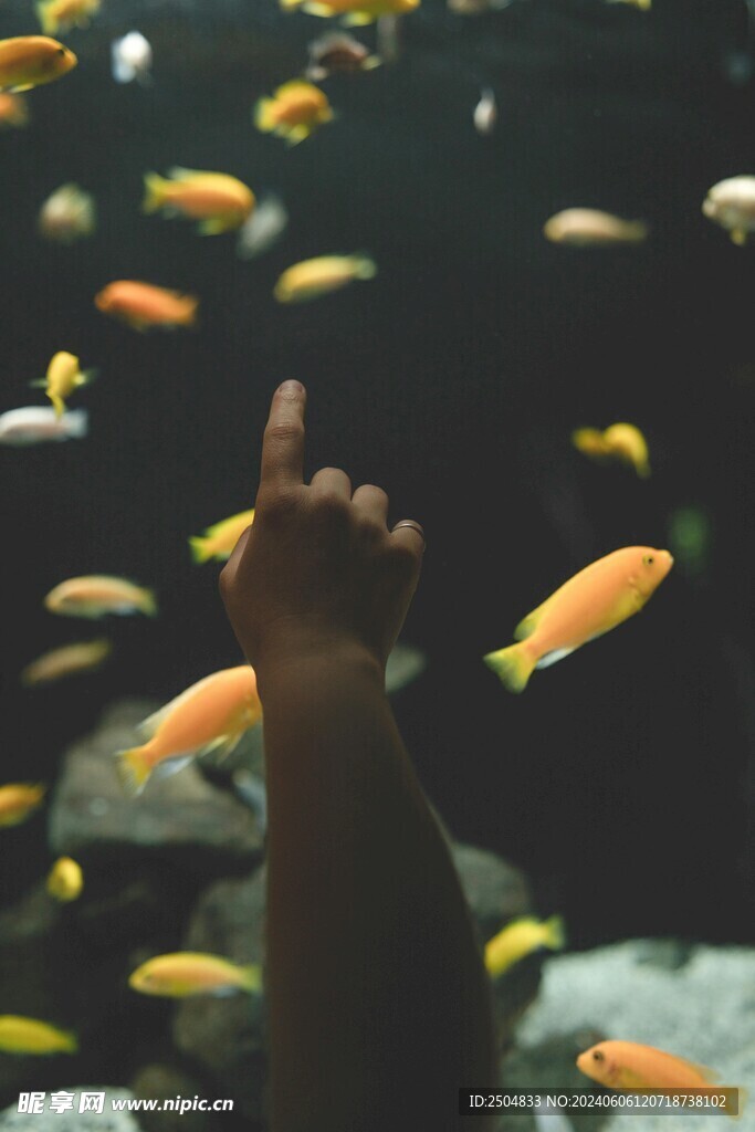 海底世界