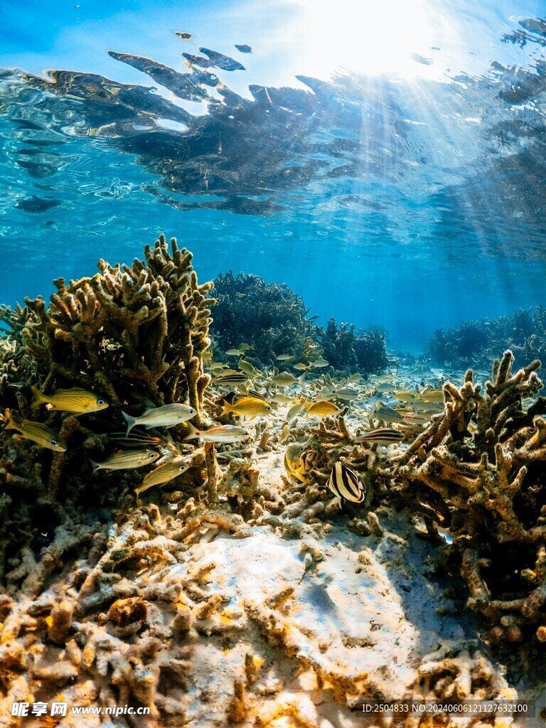 海底世界