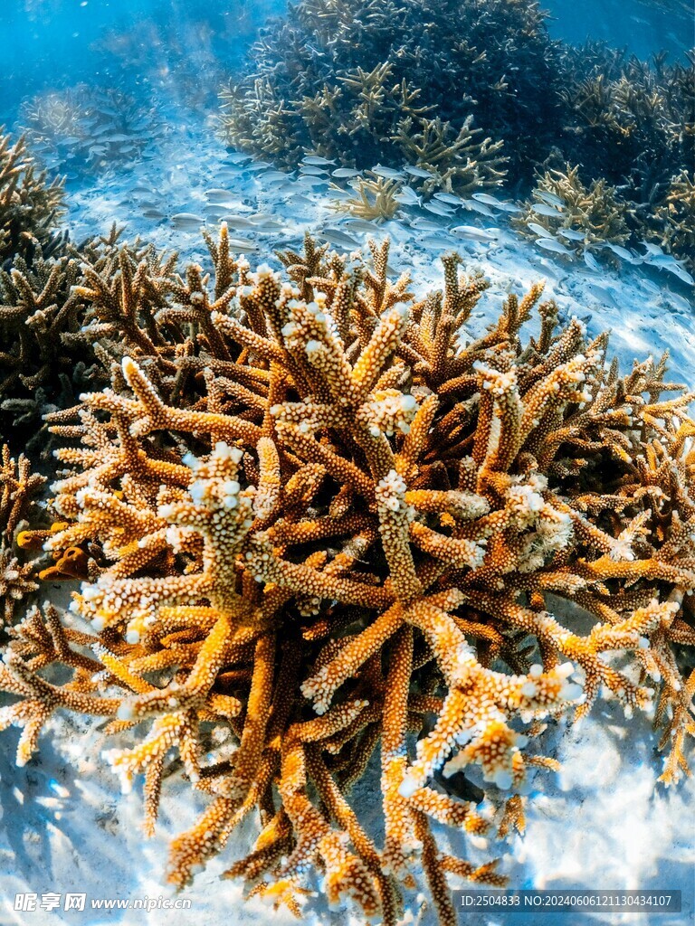 海底世界