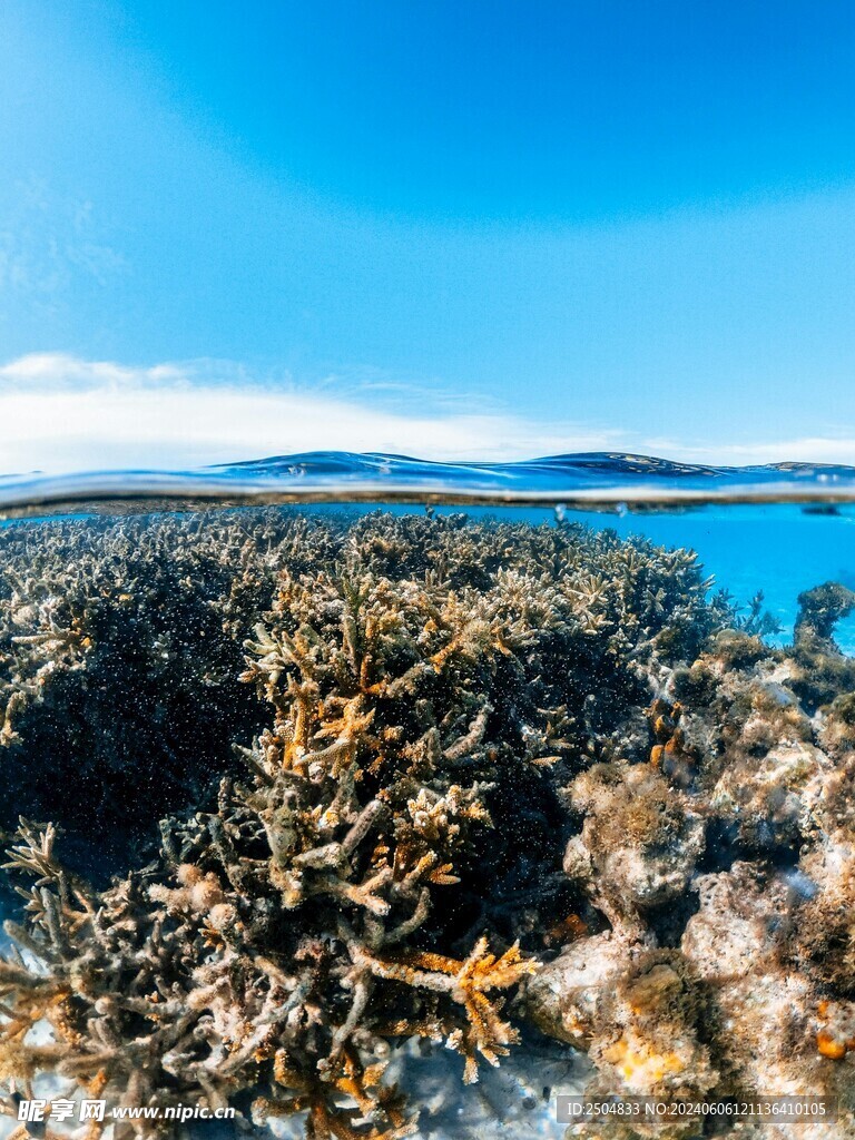 海底世界