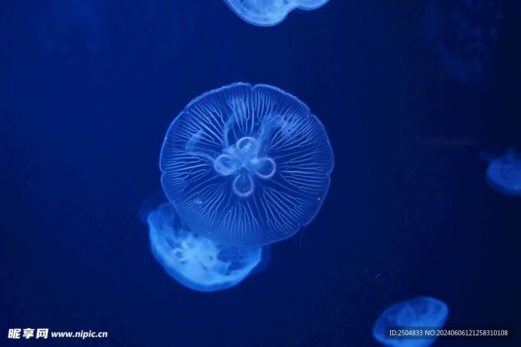 海底世界