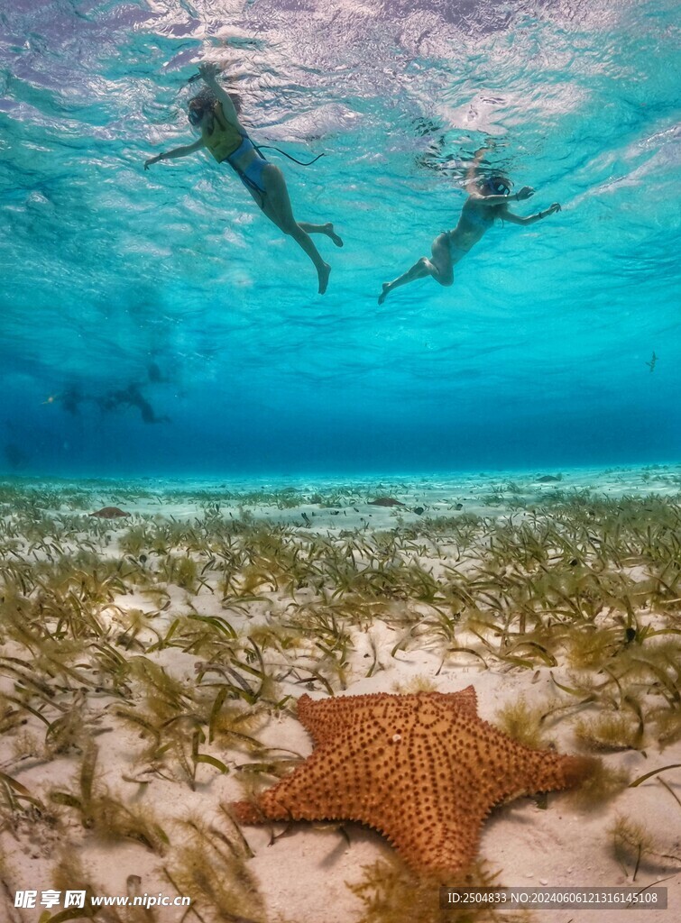 海底世界
