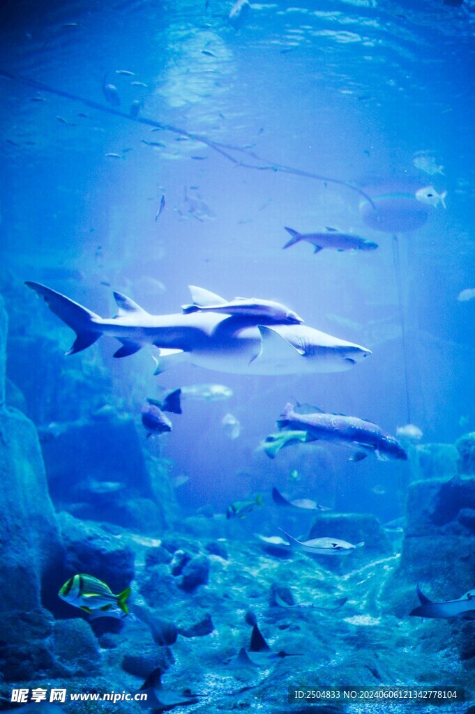 海底世界