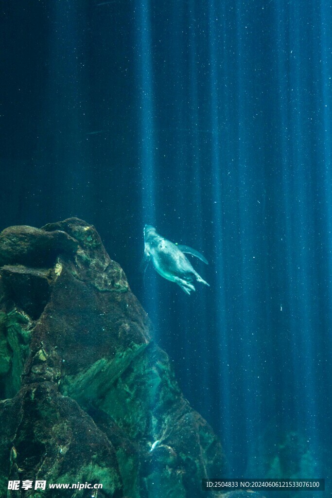 海底世界