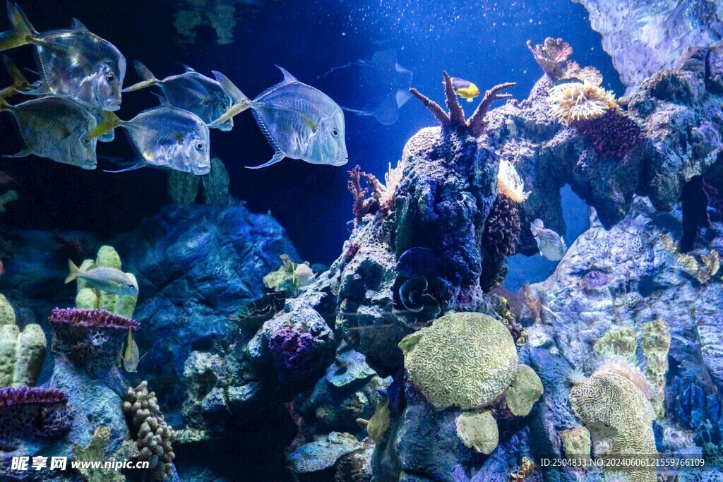 海底世界