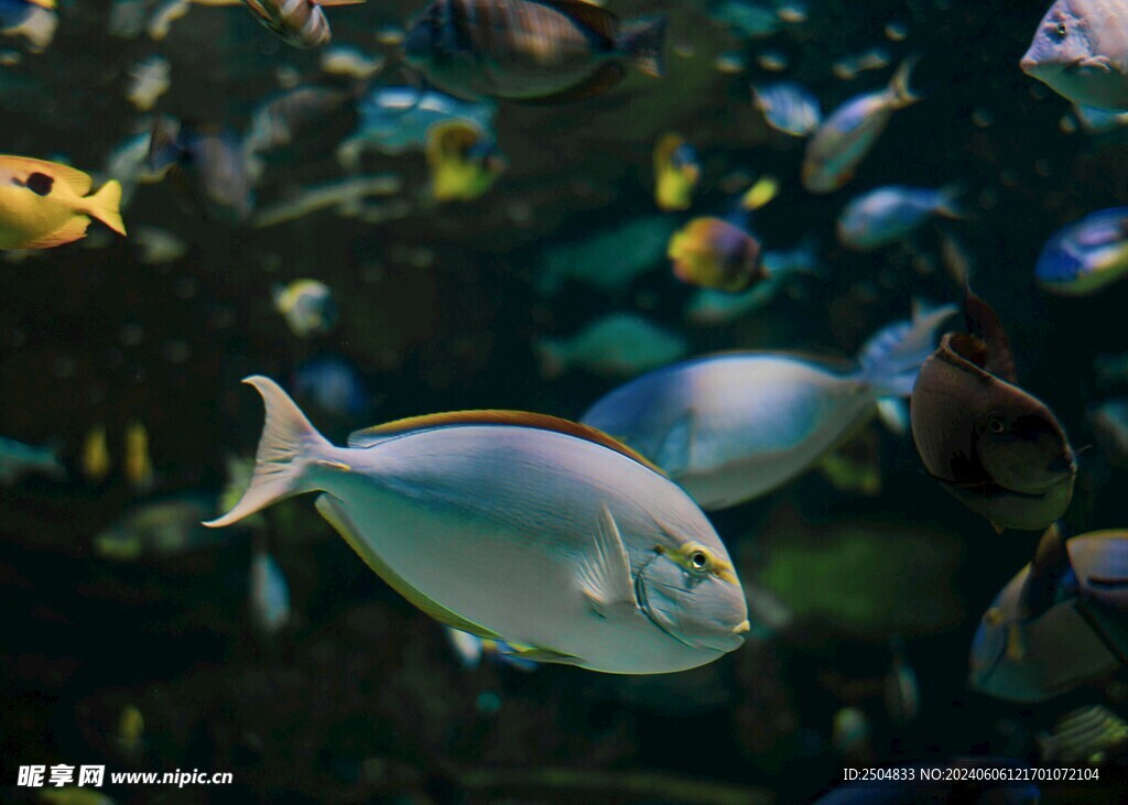 海底世界