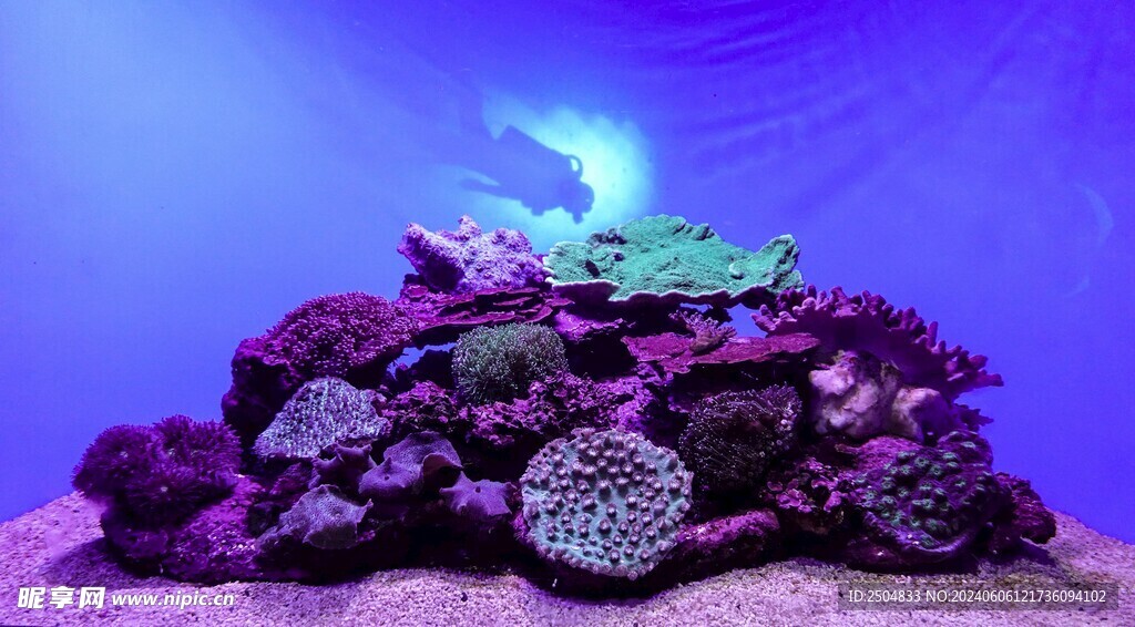 海底世界