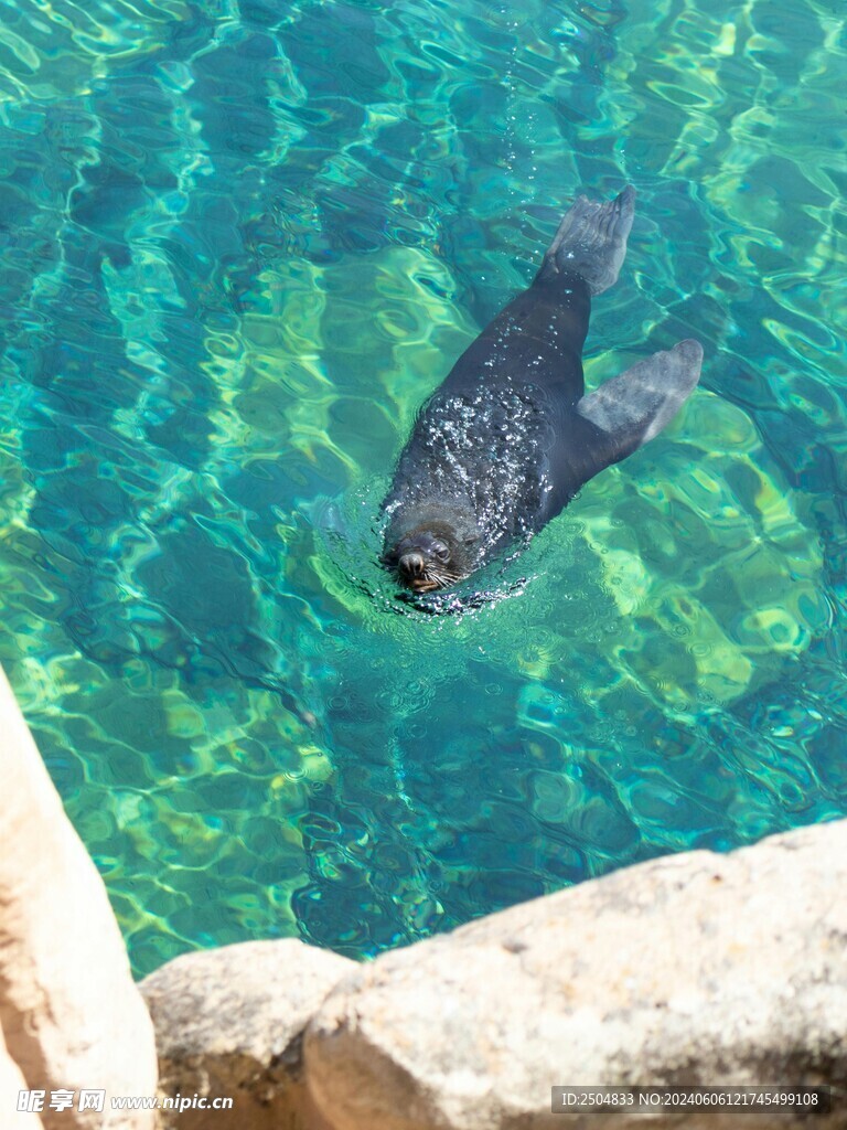 海底世界