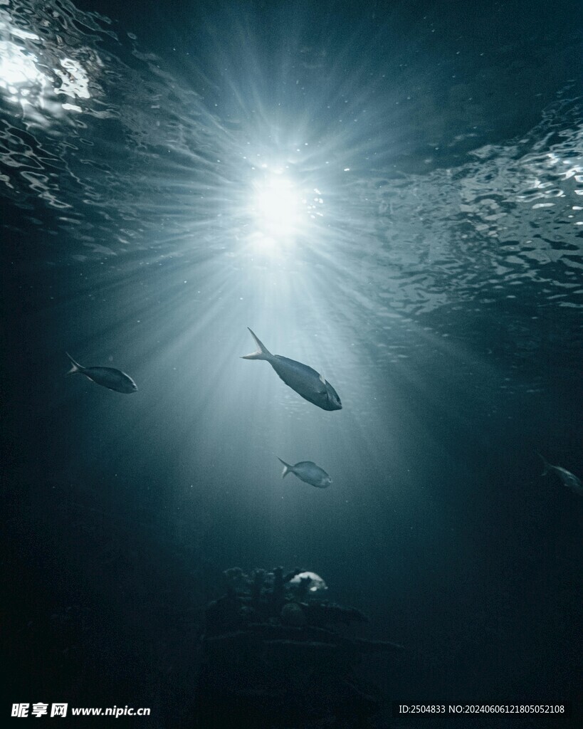 海底世界