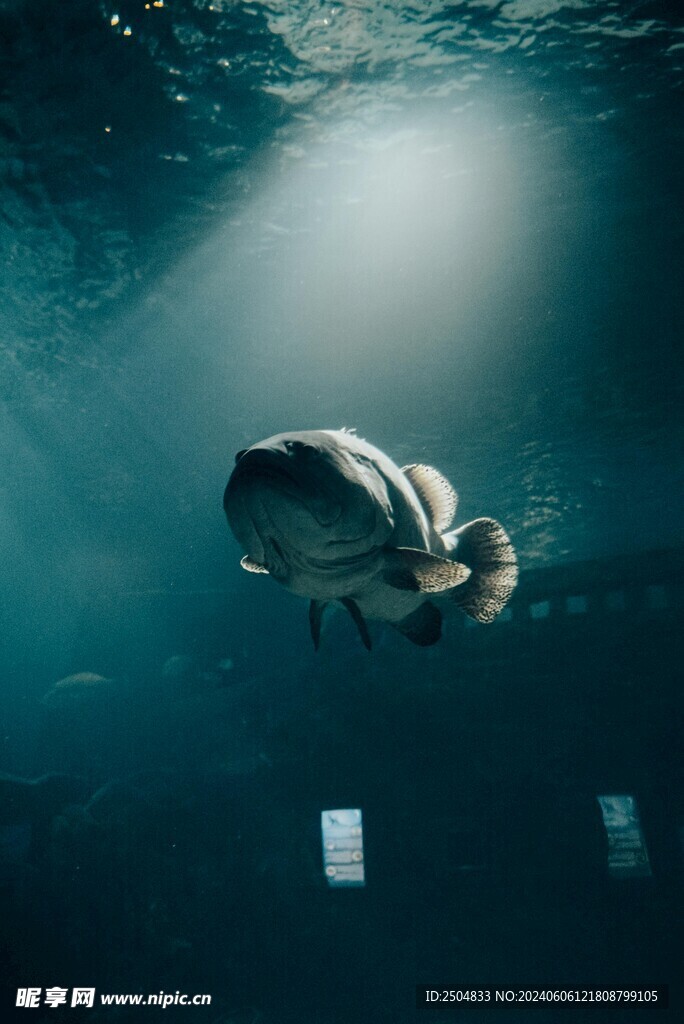 海底世界