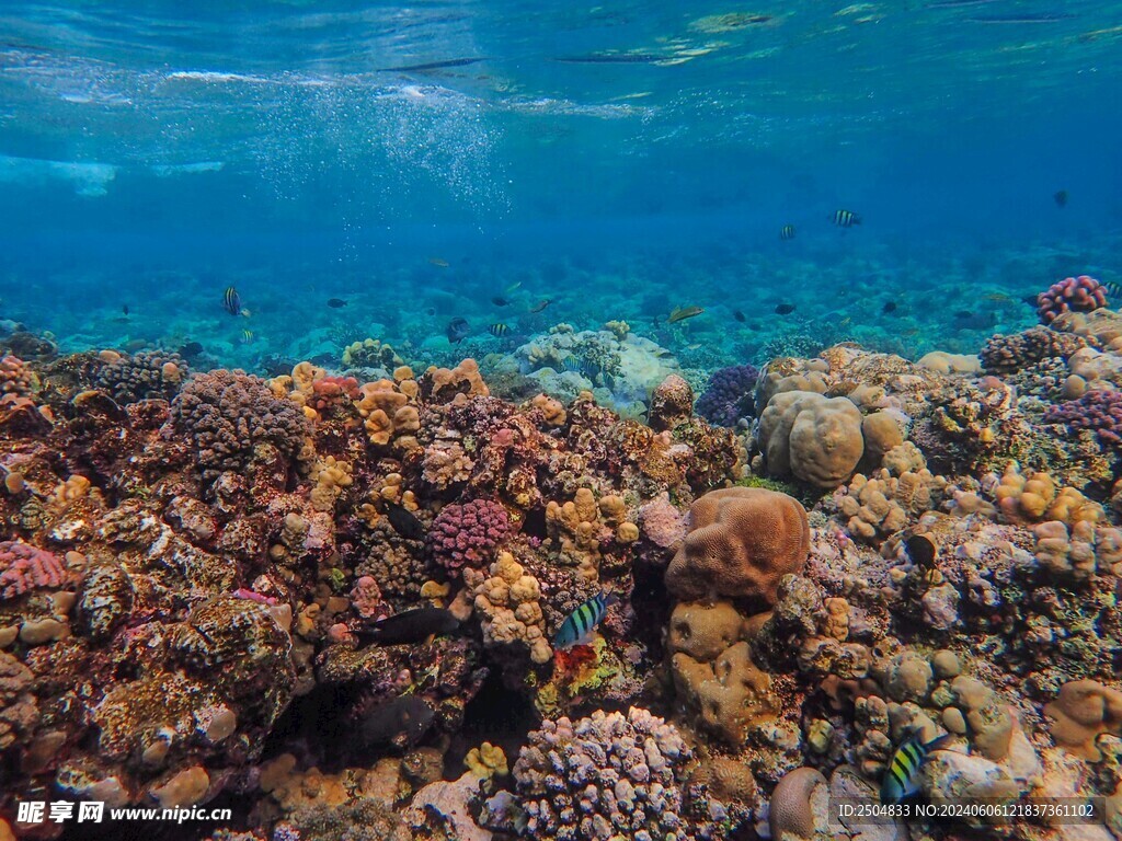 海底世界