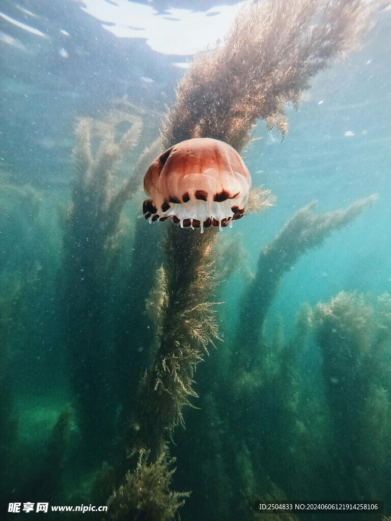 海底世界