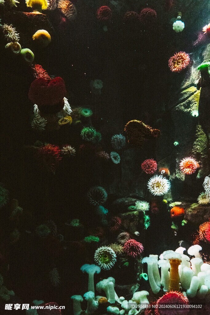 海底世界