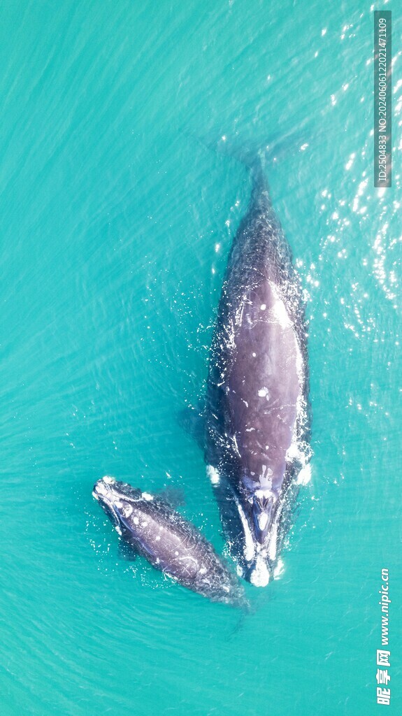 海底世界