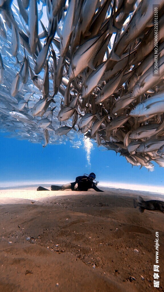 海底世界