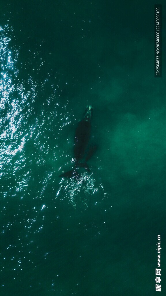 海底世界