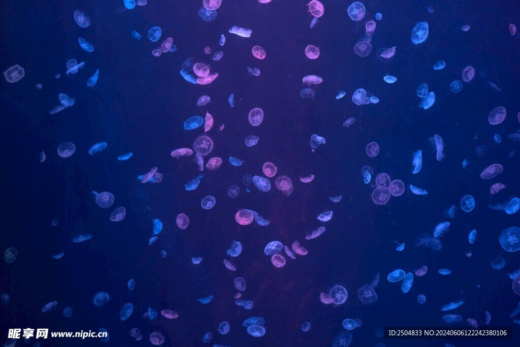 海底世界