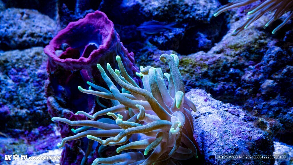 海底世界