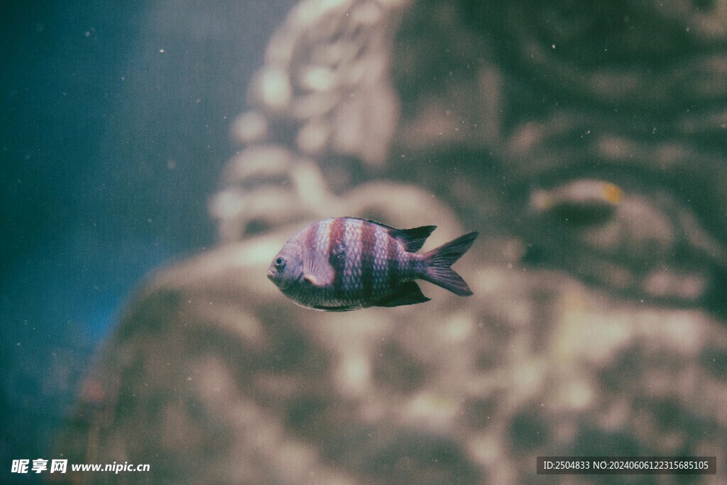 海底世界