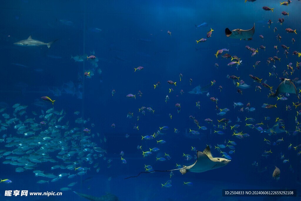 海底世界
