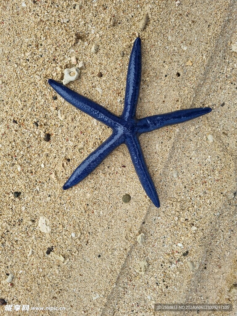海底世界