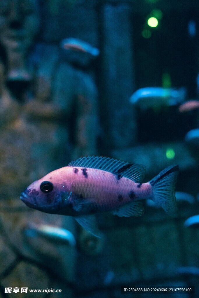海底世界