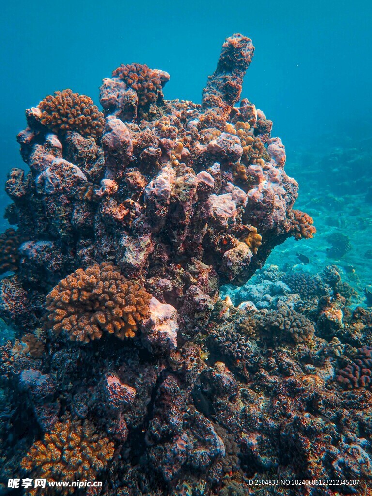 海底世界