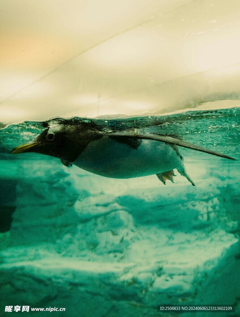 海底世界