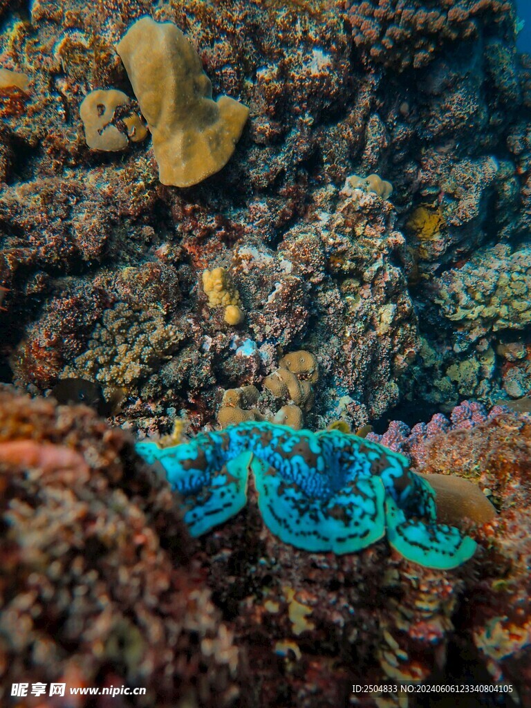 海底世界
