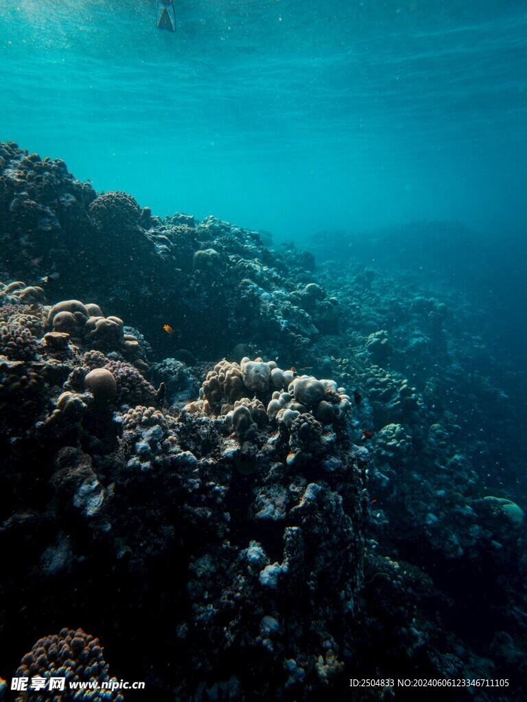 海底世界