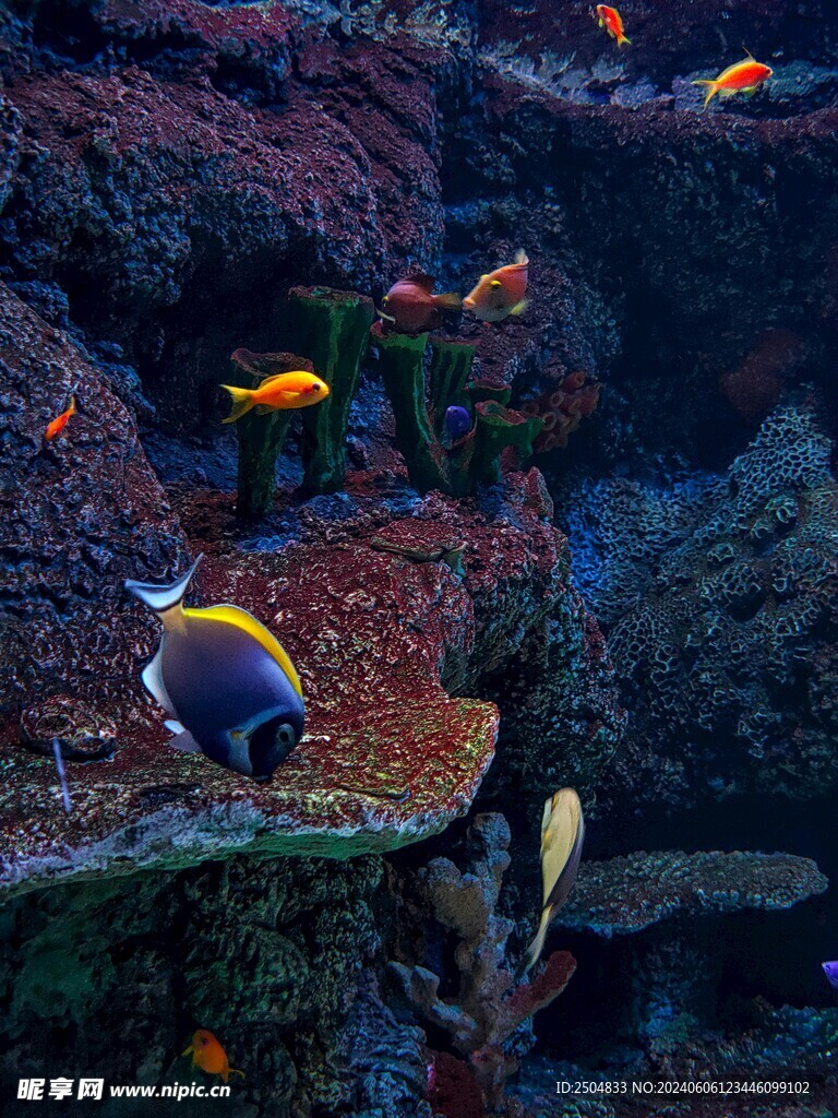 海底世界