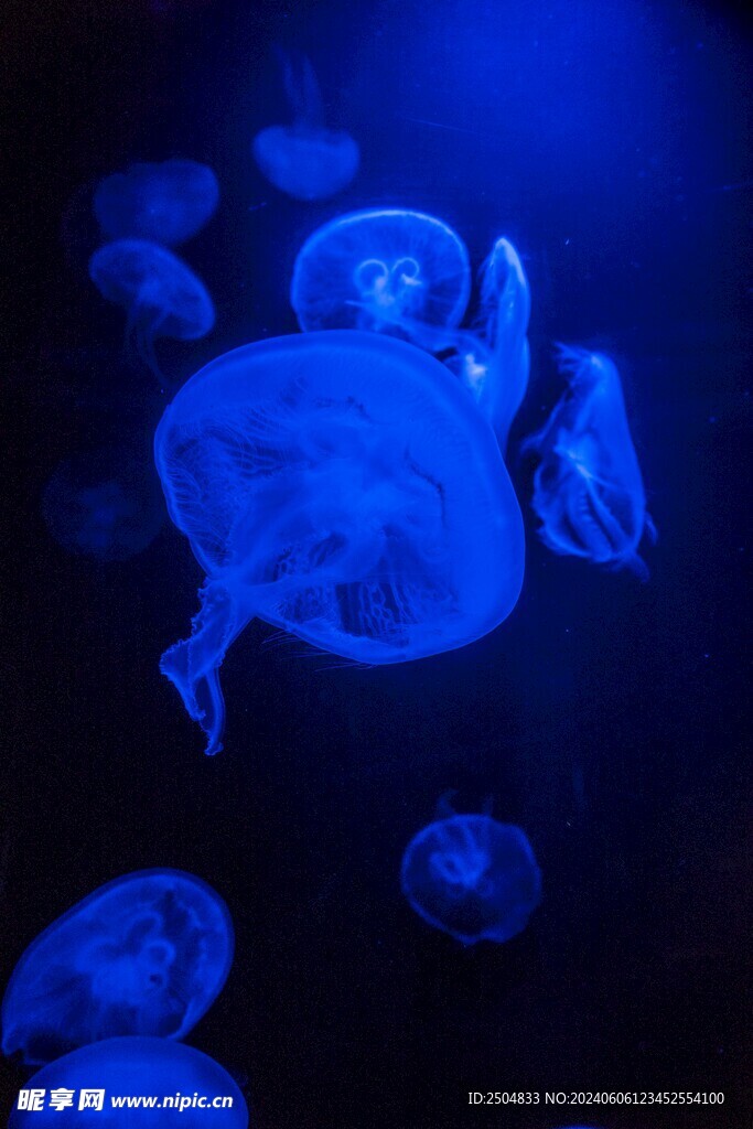海底世界