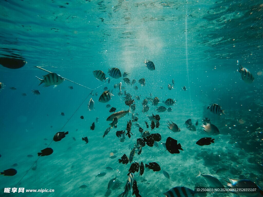 海底世界