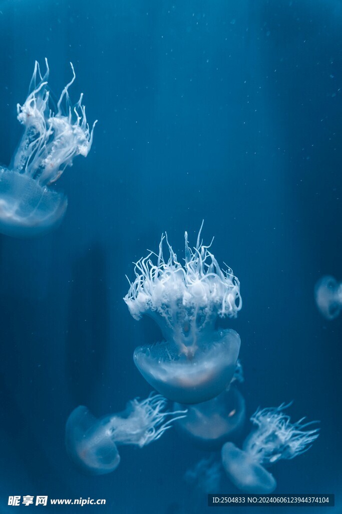 海底世界